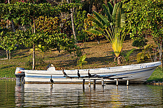危地马拉,湖,船