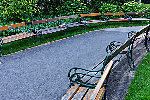 长椅,公园,维也纳,奥地利