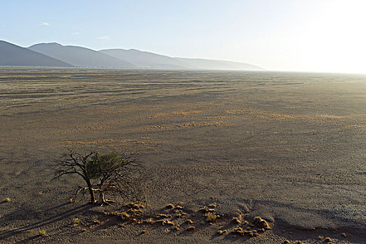 山谷,塞斯瑞姆,区域,纳米比亚,非洲