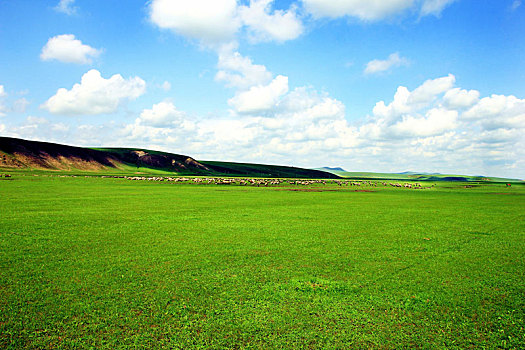 中国内蒙古呼伦贝尔大草原景观