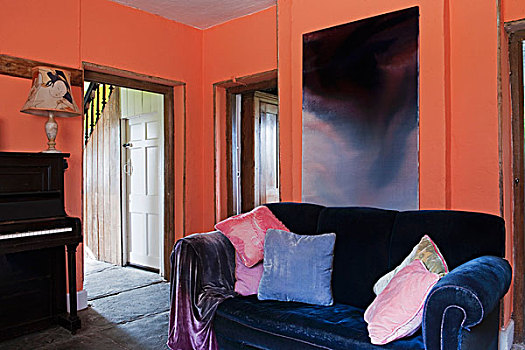 客厅,涂绘,橙色,对比,蓝色,天鹅绒,沙发