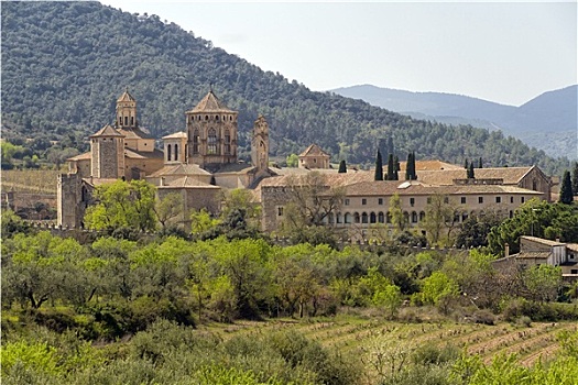 圣玛丽亚修道院,俯视