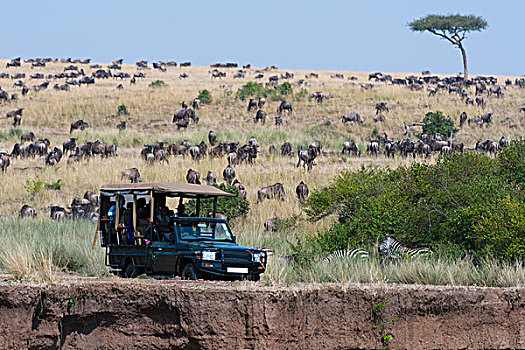 旅游,交通工具,国家级保护区,肯尼亚,非洲