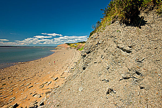 化石,悬崖,芬地湾,新斯科舍省,加拿大