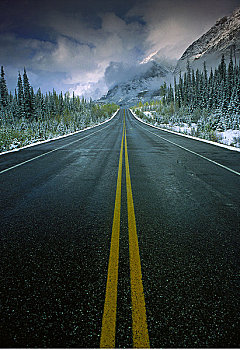 公路,碧玉国家公园,艾伯塔省,加拿大