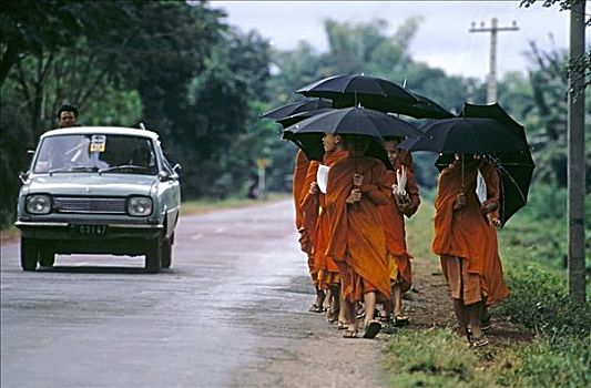 泰国,清迈,和尚,传统,橙色,长袍,走,挨着,道路,拿着,伞,汽车