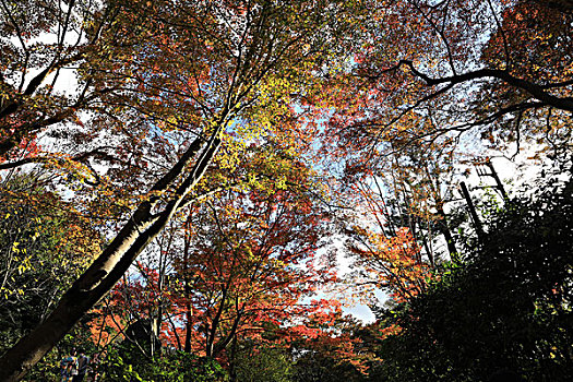 京都