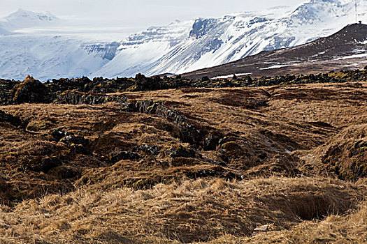 雪,火山地貌,半岛,冰岛