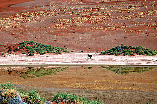 纳米比亚,索苏维来地区,水