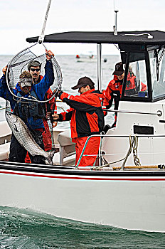 钓鱼运动,岛屿,住宿,夏洛特女王岛,不列颠哥伦比亚省,加拿大