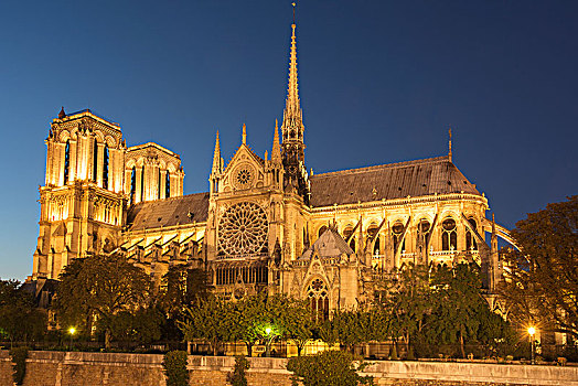大教堂,巴黎圣母院,夜晚,巴黎,法国