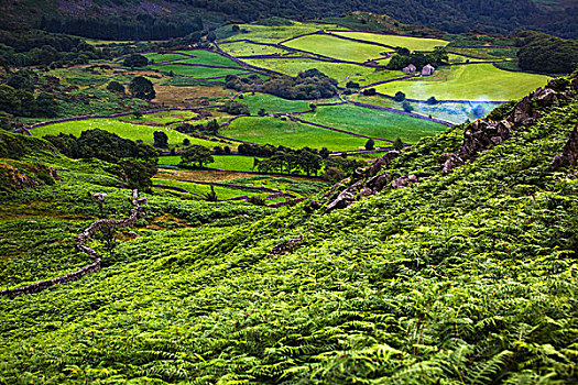 绿色,山,干燥,石墙,西部,湖区,坎布里亚,英格兰,英国