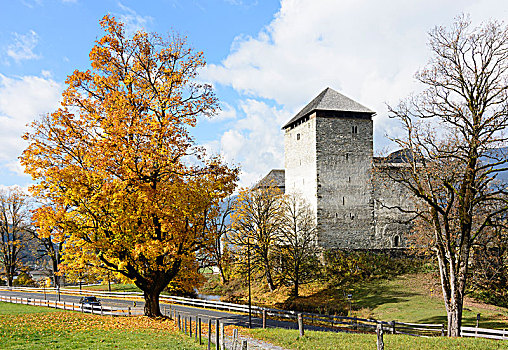 城堡,枫树,萨尔茨堡,奥地利