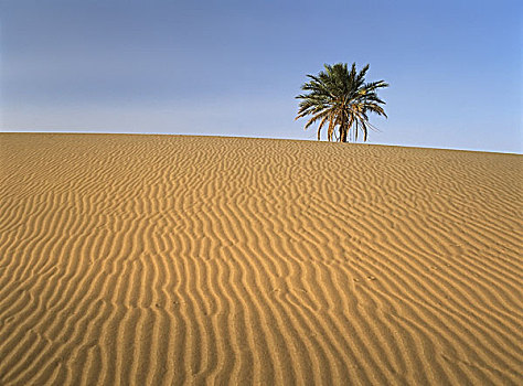 却比沙丘,梅如卡,摩洛哥