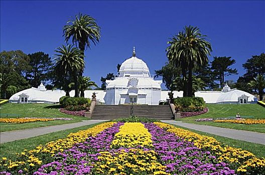 温室,花,金门公园,旧金山,加利福尼亚,美国