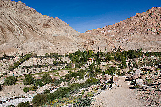 山路,乡村,拉达克,印度