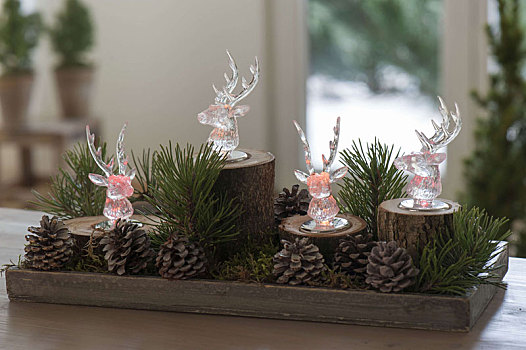 圣诞节,树林,装饰,彩色,led灯,亮光,鹿