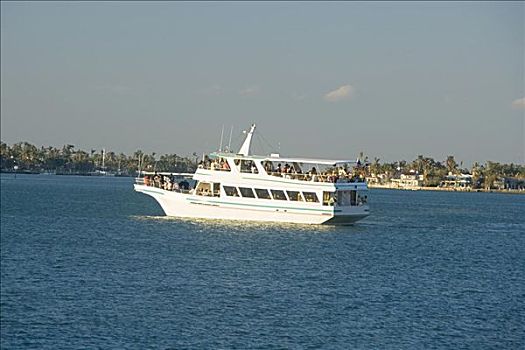 游客,游艇,海中,迈阿密,佛罗里达,美国