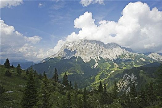 山,靠近,埃尔瓦尔德,奥地利,漂亮,山丘