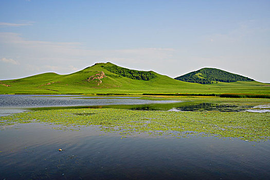 草原,牧场,绿草,旷野,云雾,云海