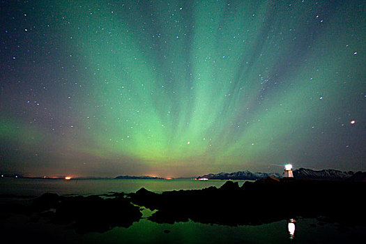 北极光,靠近,罗浮敦群岛,挪威,欧洲