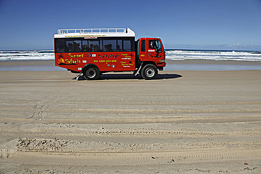 澳大利亚,昆士兰,弗雷泽岛,娱乐,旅游,旅游巴士,驾驶,沙滩