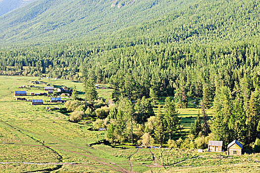 喀纳斯景区山谷里的村庄