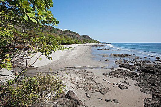 海滩,蓬塔雷纳斯,哥斯达黎加