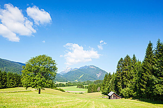风景,高处,卡林西亚,奥地利
