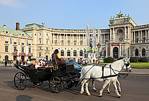 奥地利,维也纳,霍夫堡,宫殿,马车