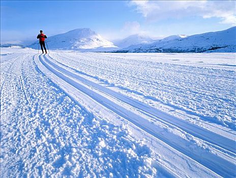 长途,滑雪者,北方,瑞典