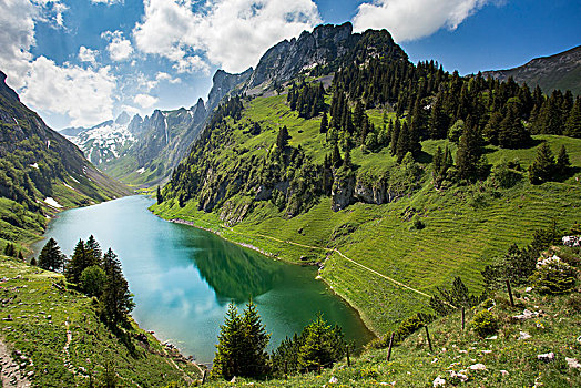 风景,湖,伯伦维斯,高山,阿彭策尔,瑞士,欧洲