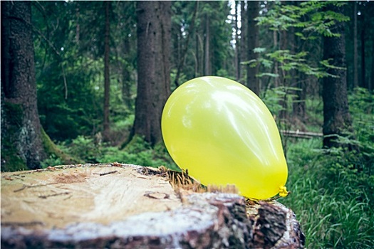 气球,树林