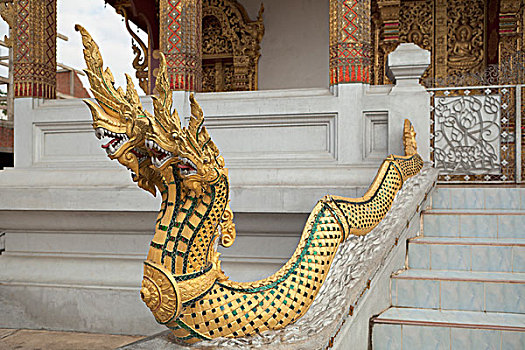 毒蛇,雕塑,保护,入口,寺院,琅勃拉邦,老挝,东南亚