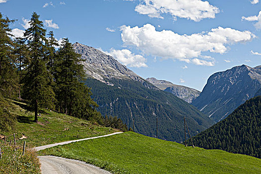 山峦,草地,晴朗,小路,恩格达恩,格劳宾登州,瑞士,欧洲