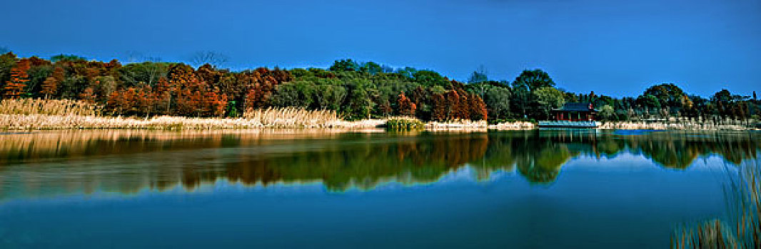 燕雀湖全景