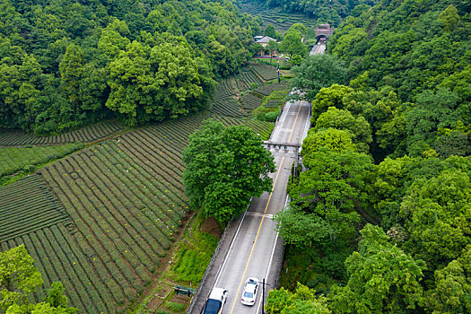 杭州西湖梅家坞梅灵路隧道航拍