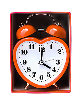 美女,金属,闹钟,打开,特别,植物