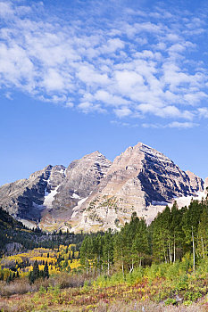 栗色,麋鹿,山,落基山脉,科罗拉多,美国