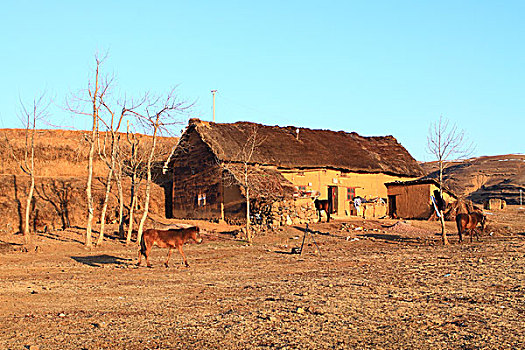 大山包