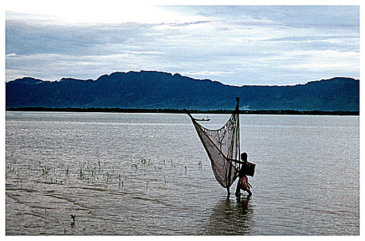 渔民,抓住,鱼,渔网,河,孟加拉,九月,2007年