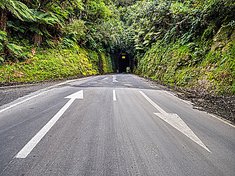 隧道,忘记,世界,公路,塔拉纳基,区域,北岛,新西兰,大洋洲