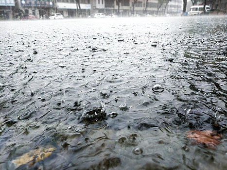 梅雨,防台防汛