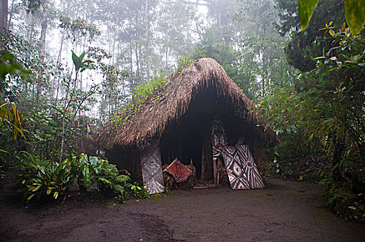部族,小屋,雾状,高地,巴布亚新几内亚