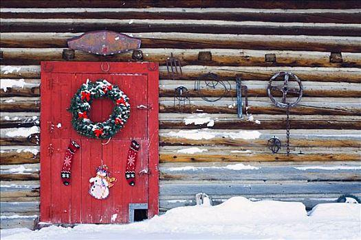 假日,花环,门,圣诞树,科罗拉多,冬天