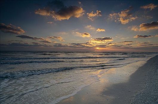 日落,上方,萨尼伯尔岛,海滩,佛罗里达