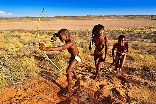 原住民,桑人,猎捕,卡拉哈里沙漠,卡拉哈迪大羚羊国家公园,北角,南非,非洲