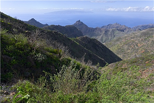 山景