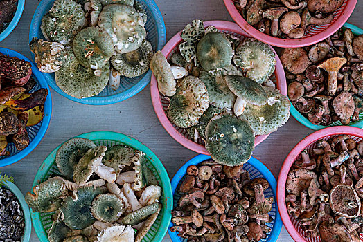 选择,不同,新鲜,蘑菇,昆明,中国
