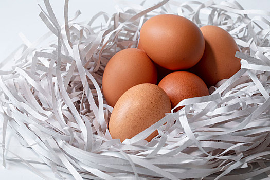 鸡蛋放在,碎纸条制作形状像鸟巢的护垫里